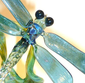 Dragonfly Dragonfly